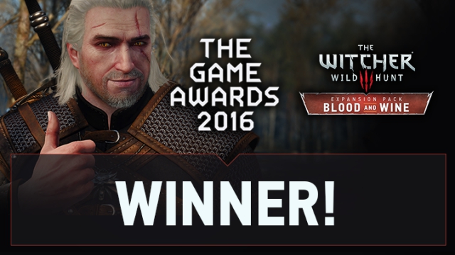 the witcher 3 wild hunt awards
